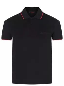 Поло хлопковое TORRAS