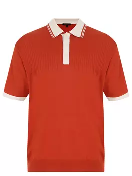 Поло из хлопка и шелка TORRAS