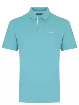 Поло однотонное Anibal