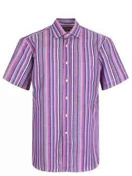 Рубашка хлопковая Regular Fit ETRO