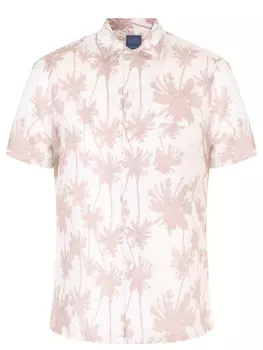 Рубашка Regular Fit хлопковая BARBA