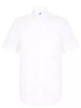 Рубашка Regular Fit хлопковая CASTANGIA