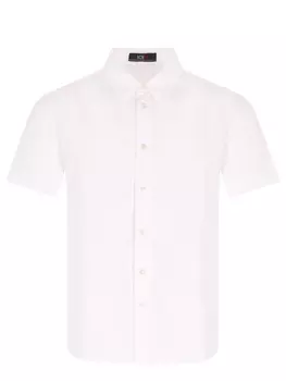 Рубашка Slim fit хлопковая ICEBERG