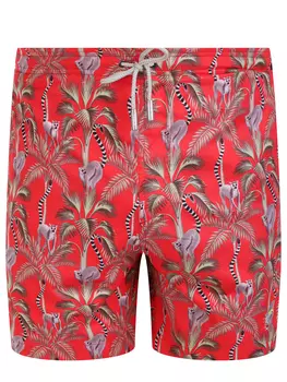 Шорты плавательные Lemure MAISON TRENTANOVE