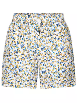 Шорты плавательные RASCHINI