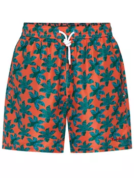 Шорты плавательные RASCHINI