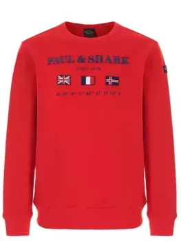 Толстовка хлопковая с принтом