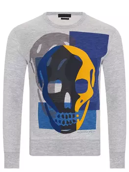 Толстовка хлопковая с принтом ALEXANDER MCQUEEN