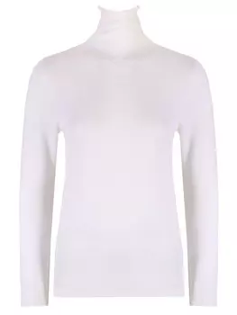 Водолазка шерстяная FABIANA FILIPPI