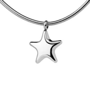 Колье Braced Frame Star Necklace - Silver