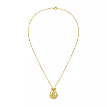 Колье Money Bag Necklace - Gold