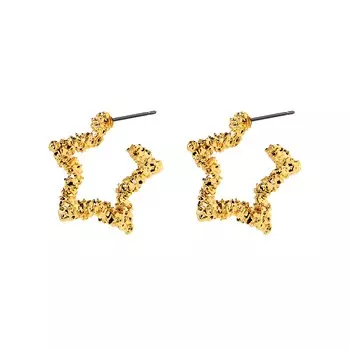Серьги Starlight Earrings – Gold