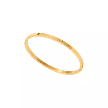 Тонкий Браслет Paris