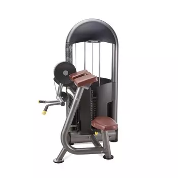 Бицепс сидя Protrain 6210-70