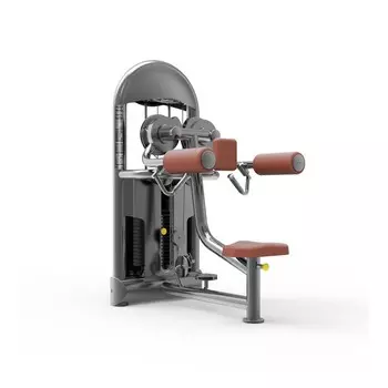 Дельт-машина/подъем рук в стороны Protrain 6203-70