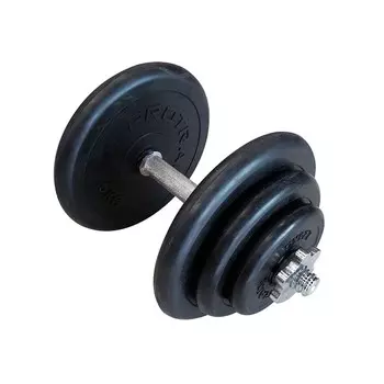 Гантель сборная Pro Energy RJ1332-31,5 (1 шт)