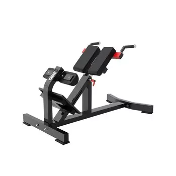 Гиперэкстензия Protrain PP111