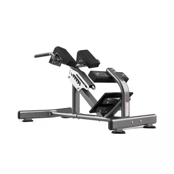 Гиперэкстензия Realleader FW-1006