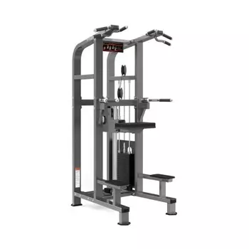 Гравитрон Realleader PF-1008