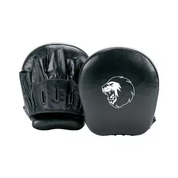 Лапы тренировочные Super Pro SPKP120-90100