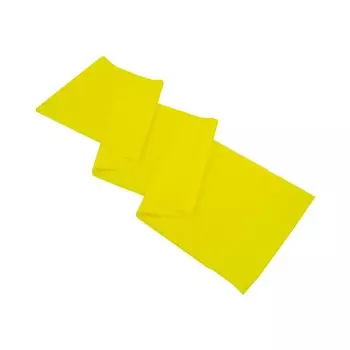 Лента для йоги и пилатеса Protrain ASL016 (120 см х 15 см х 0.20 мм)