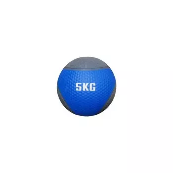 Медицинбол Protrain MB6304-5