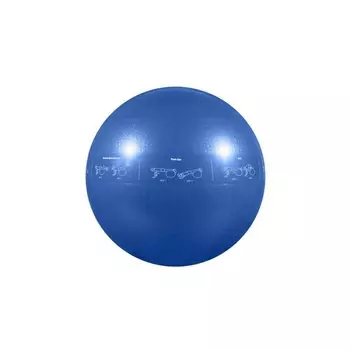 Мяч гимнастический надувной, фитбол GoFit GF-55PRO