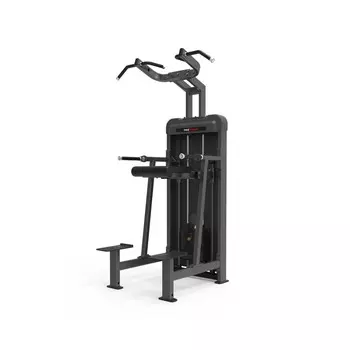 Подтягивания/отжимания с противовесом Protrain CPB102-96