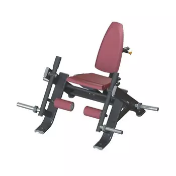 Разгибание ног на свободных весах Protrain T8-607