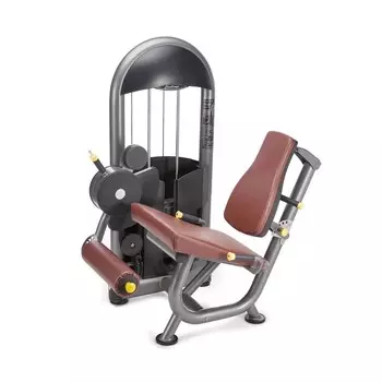 Разгибание ног Protrain 6224-70