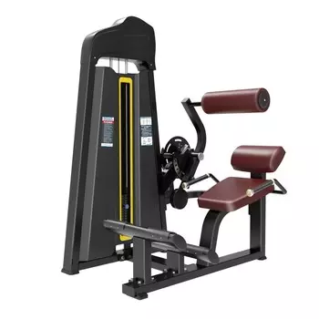 Разгибание спины Protrain BPL131