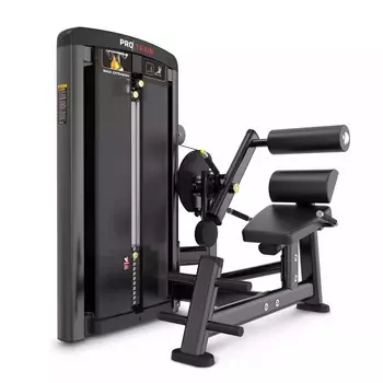 Разгибание спины Protrain LFS118