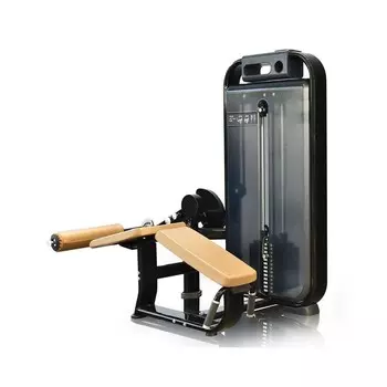 Сгибание ног лежа Protrain V6-514-242,5