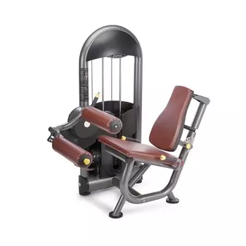 Сгибание ног сидя Protrain 6225-70