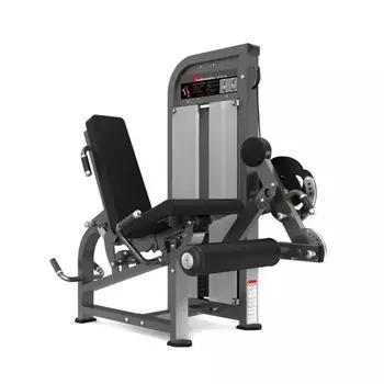 Сгибание/разгибание ног сидя Realleader PF-1007