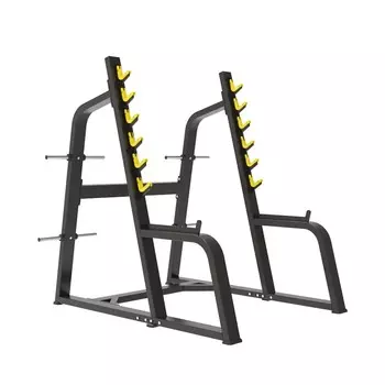 Стойка для жима и приседаний Protrain BPL150