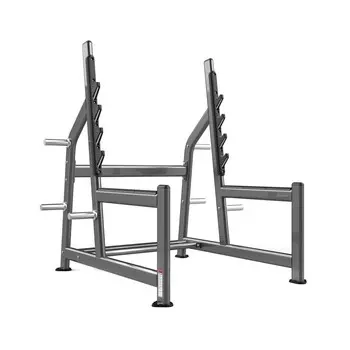 Стойка для жима и приседаний Realleader FW-1018