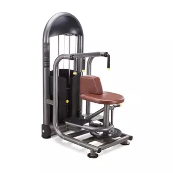 Торс-машина Protrain 6219-70