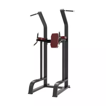 Турник/брусья/пресс Protrain BPL192