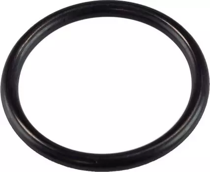 Кольцо уплотнительное 93210347A100