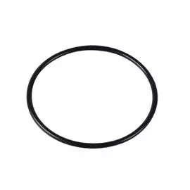 Кольцо уплотнительное 9321069MG600