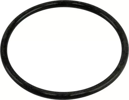 Кольцо уплотнительное Suzuki 0928055001000