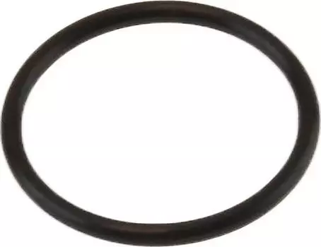 Кольцо уплотнительное Suzuki, d 21.8 0928021010000