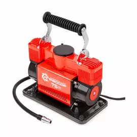 Насос электрический АГРЕССОР, 75 л./мин., 12V/30A, 300W, 10 Атм., двухпоршневой AGR-75
