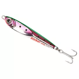 Пилькер ASARI Kicker 30гр #06 hg-04748_1620