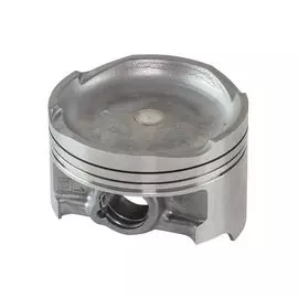 Поршень Kawasaki JET SKI ULTRA 250X 130013738