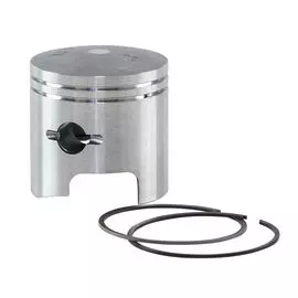 Поршень Suzuki DT9.9-15 (0.25) с кольцами 01-10 г.в. 1210093140025