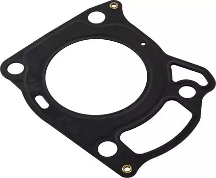 Прокладка головки блока цилиндра Suzuki DF4-6, Omax 1114191JL0_OM