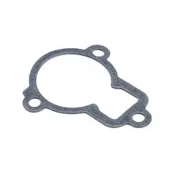 Прокладка крышки термостата T60 353010320