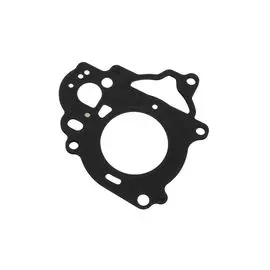 Прокладка под головку цилиндра Suzuki DF2.5 1114197JL0000